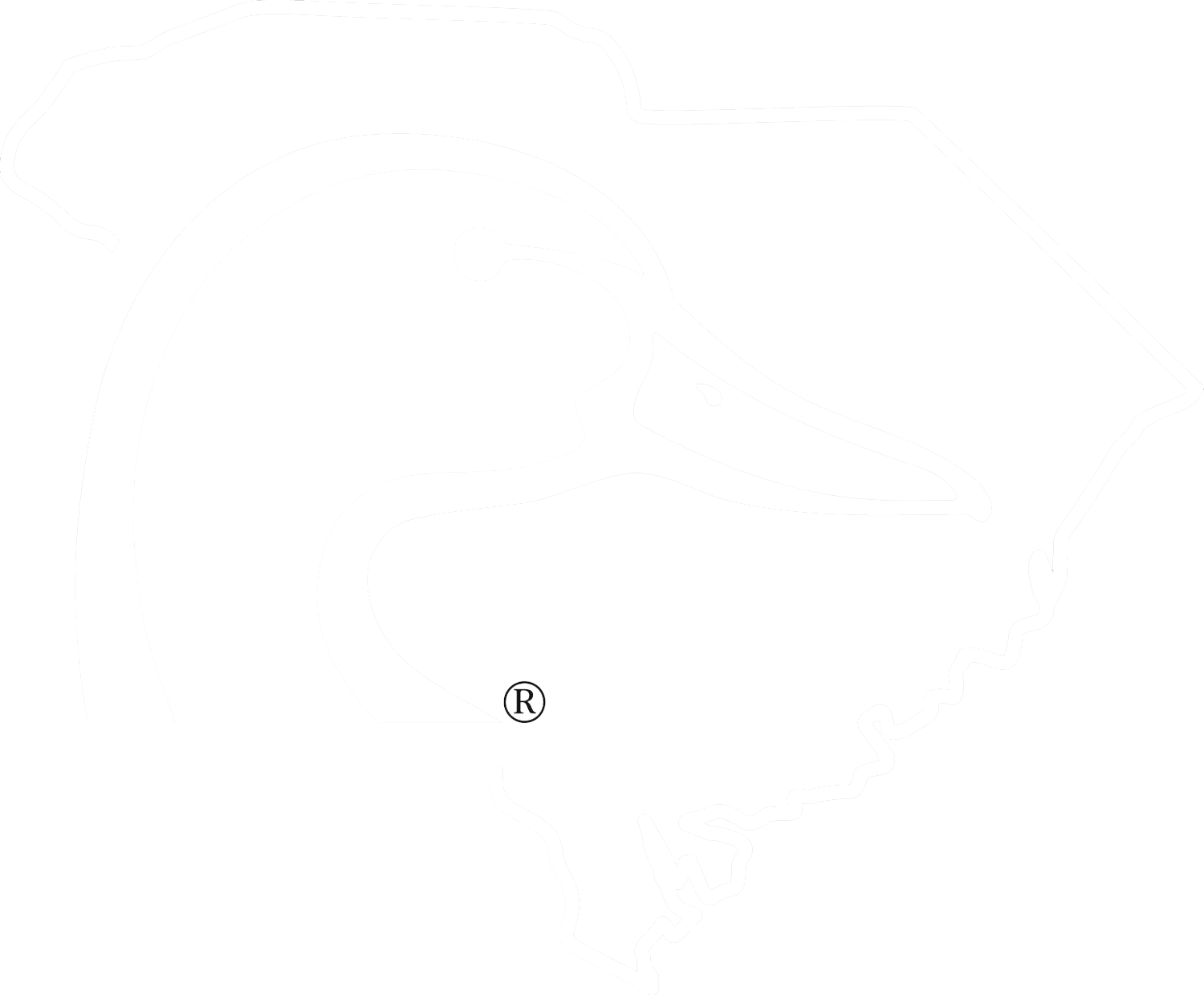 Rice and Ducks Book Logo